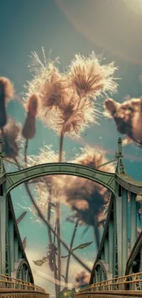 This live wallpaper for your phone showcases a bridge brimming with colorful flowers amidst a backdrop of reeds and the art nouveau aesthetic