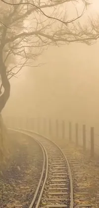The phone live wallpaper portrays a serene and romantic scene of a train track adjacent to a tree on a misty day