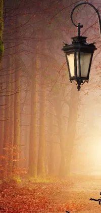 This stunning live wallpaper features a lamp post in the midst of a forest, surrounded by a light orange mist