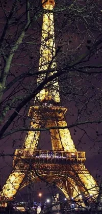 This live wallpaper showcases the scenic and alluring beauty of Paris at night