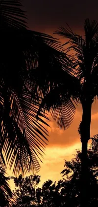 Transform your phone into a tropical paradise with this stunning live wallpaper