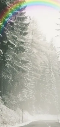 This phone live wallpaper showcases a serene forest scene, with snow-covered trees lining a winding road