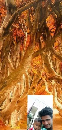 This live wallpaper for phones features a stunning image of a man holding a child in front of a beautiful tree tunnel
