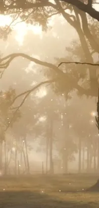 Enhance your phone's ambiance with this captivating live wallpaper! The serene setting features a person sitting on a bench in a foggy park as fireflies dance around a forest illuminated by ethereal lighting