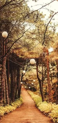 Escape to a serene forest with the surreal Live Wallpaper