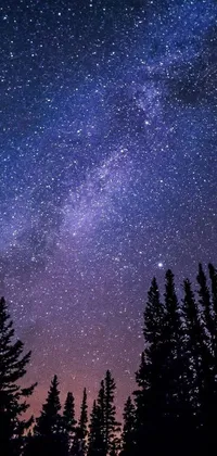 Looking for a stunning wallpaper to personalize your phone? Check out this live wallpaper that features a beautifully rendered night sky filled with countless twinkling stars and tall, majestic trees