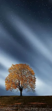 This live phone wallpaper features a beautiful image of a solitary tree under a full moon