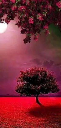 This live wallpaper for mobile phones depicts a beautiful tree standing in a field, with a vibrant full moon in the background