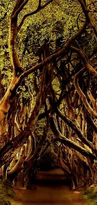 This stunning phone live wallpaper features a digital rendering of dark hedges inspired by art nouveau style