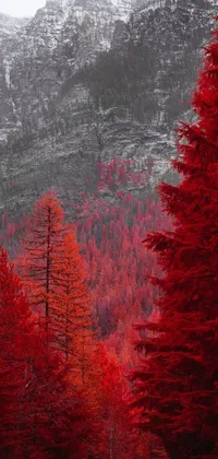 Get ready for an extraordinary phone live wallpaper! Discover an alluring road amidst red trees featuring a mountain backdrop