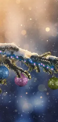 This winter-themed live wallpaper offers a beautiful close-up view of a snow-covered tree branch