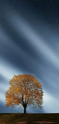 "Decorate your phone screen with a serene fall scene: a single tree standing tall in a vast field under a full moon