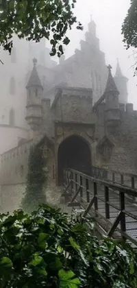 This stunning live wallpaper features a gothic castle perched atop a lush green hillside