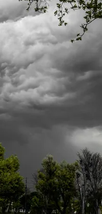 This phone live wallpaper features a mesmerizing black and white photograph capturing the essence of a cloudy sky
