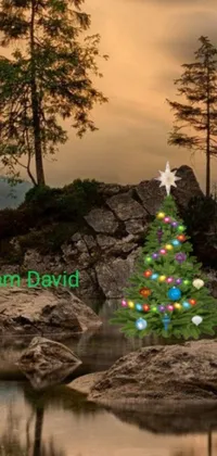 The Christmas Tree Live Wallpaper depicts a beautifully decorated Christmas tree on a rock by a serene lake