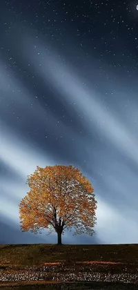 Immerse yourself into a stunningly surreal and enchanting world with this nature inspired live wallpaper for your phone