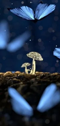 Bring the magic of nature to your phone with this beautiful live wallpaper featuring blue butterflies flying around a radiant mushroom