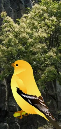 This live wallpaper for your phone portrays a yellow bird perched on a tree branch with a blurred background