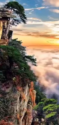 This phone live wallpaper showcases a breathtaking cliff with trees atop it in a romantic sunset setting