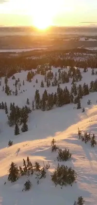 Experience the thrill of skiing any time, anywhere with this stunning live wallpaper! Watch as a skilled skier glides down a snow-covered slope at sunset, with a forest of trees in the background