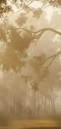 Discover the fascinating live wallpaper with lush green fields crowned by a herd of cattle in Australia, idealized by sandstorms and bright sunlight