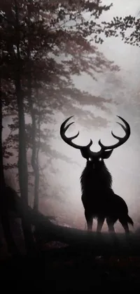 This stunning phone live wallpaper features a serene image of a majestic deer standing in the heart of a dense forest
