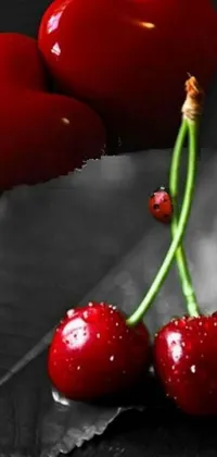 This cherry live wallpaper features two vibrant red cherries resting on a green leaf