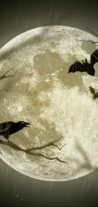 This phone live wallpaper showcases a digital art composition of bats flying in front of a full moon in a dark, ominous sky