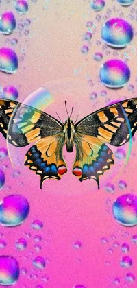 Experience a stunning live wallpaper for your phone with a butterfly resting on bubbles against a pink background