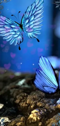 This phone wallpaper depicts two blue butterflies perched on a rock
