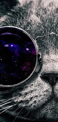 This phone live wallpaper features a cat wearing sunglasses in a close-up shot