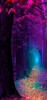 This stunning live wallpaper depicts a mystical forest path, strewn with autumn leaves and bathed in purple and cyan hues that create a psychedelic, surreal atmosphere