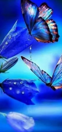 This live wallpaper for phones showcases a stunning image of colorful butterflies perched atop a vibrant blue flower