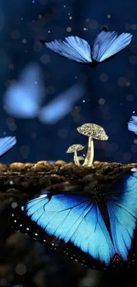 This live phone wallpaper features blue butterflies fluttering around a mushroom in a serene and peaceful nature-themed display