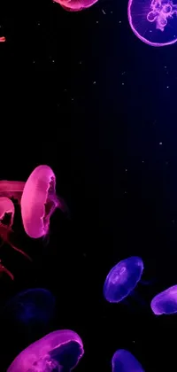 Nature Purple Light Live Wallpaper