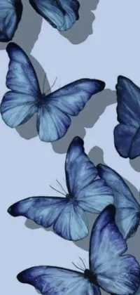 This phone live wallpaper showcases a beautiful group of blue butterflies soaring gracefully through the air against a gray backdrop