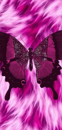 This phone live wallpaper features a close up of a butterfly in beautiful shades of black, purple, orange, and pink, against a soft pastel pink background