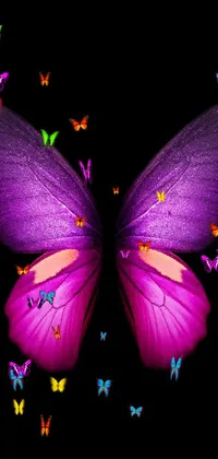 Nature Purple Violet Live Wallpaper