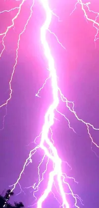 Get the ultimate nature-inspired phone live wallpaper with a thunderous lightning strike display! Witness a breathtaking lightning bolt set against the backdrop of vivid, purple volumetric lights