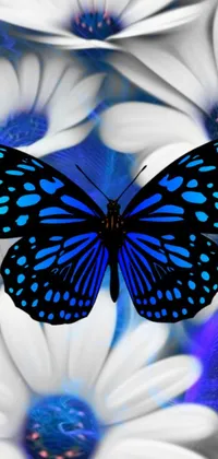 This beautiful phone live wallpaper showcases a colorful, high-contrast digital rendering of a blue butterfly resting on white flowers