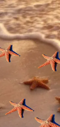 This live wallpaper features digital art by Robert Thomas depicting starfishes on a sandy beach