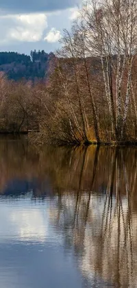 Nature Reflection Branch Live Wallpaper