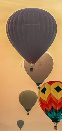 Fly high with this hot air balloon-inspired phone live wallpaper
