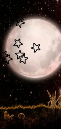 This phone live wallpaper presents a group of birds soaring before a full moon set amidst a starry background