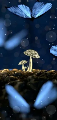 This mesmerizing phone live wallpaper features a group of blue butterflies gracefully flying in loops around a stunning mushroom image in macro photography