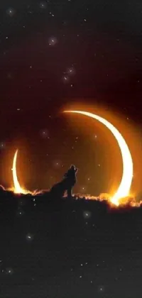 This phone live wallpaper depicts a stunning image of a wolf perched atop a hill surrounded by a serene crescent moon
