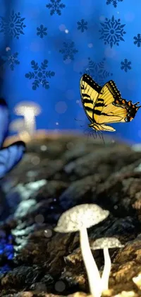 Get mesmerized by the stunning live wallpaper! Watch a butterfly flitting over a patch of mushrooms inside an anamorphic bokeh