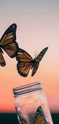 This stunning phone live wallpaper showcases two graceful butterflies seemingly popping out of a jar