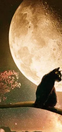 Enhance the look of your phone screen with a beautiful live wallpaper featuring a cat perching on a branch in front of a full moon