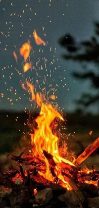 Looking for an awe-inspiring mobile live wallpaper? Look no further than this mesmerizing depiction of a blazing fire! Set against the backdrop of a forest at dusk and captured in a breathtaking photograph, this visually stunning wallpaper features floating embers that bring a touch of magic and fun to your phone's screen